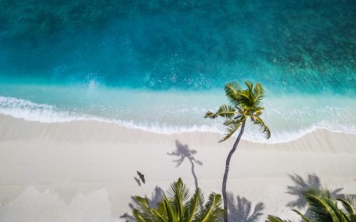 tour-seychelles-background